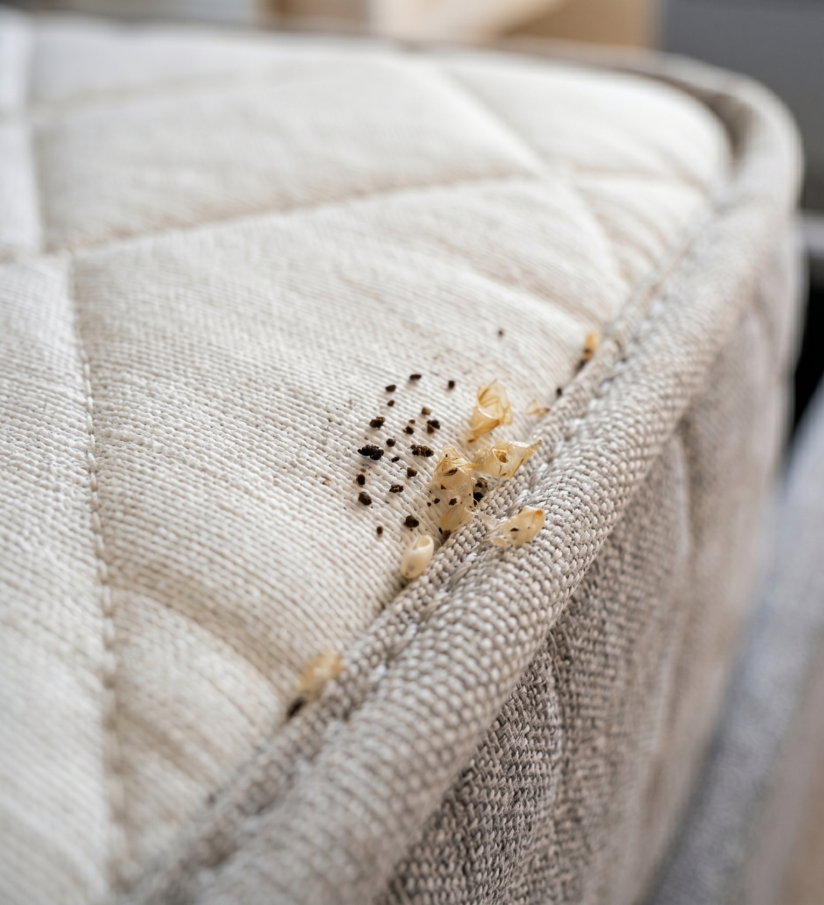 Signs of bed bug activity along a mattress
